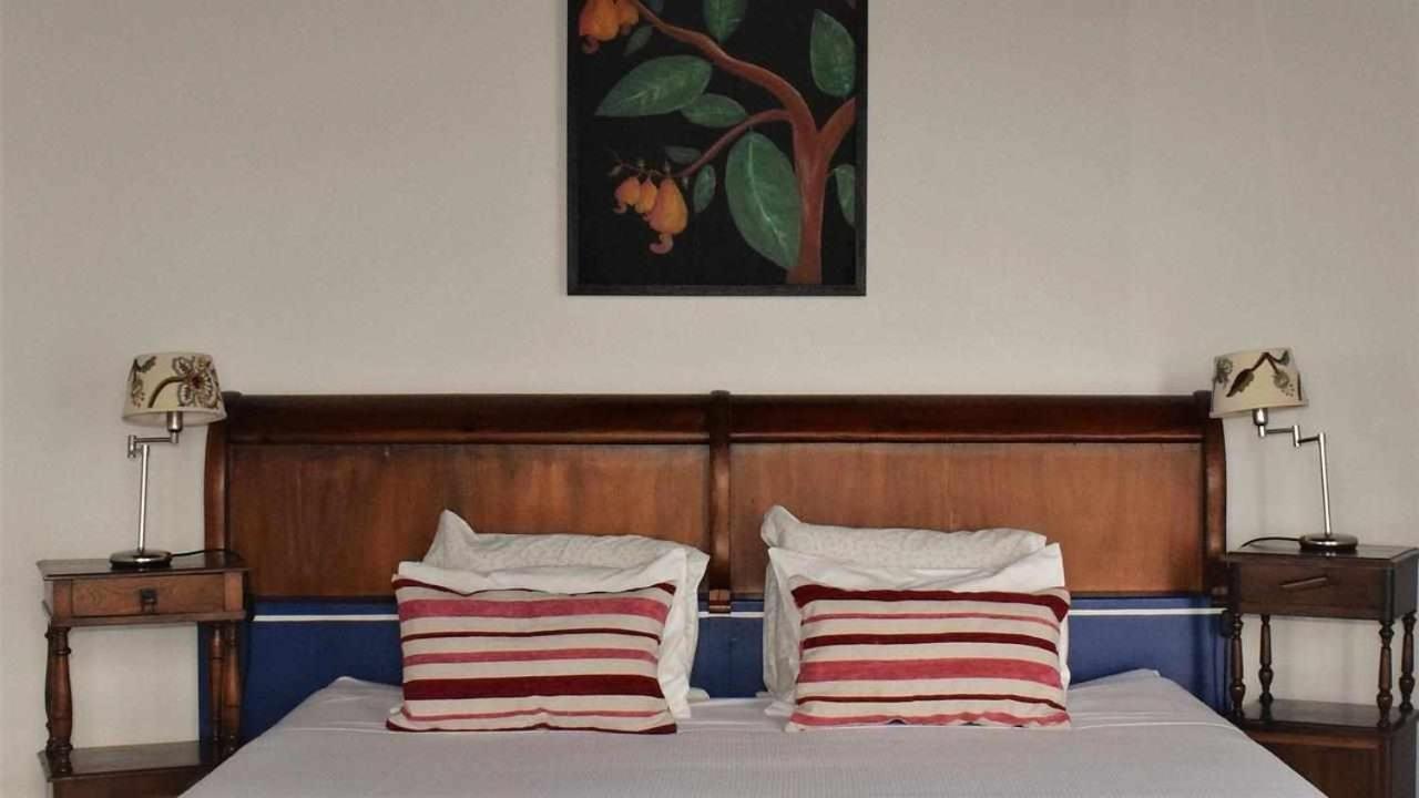 Quinta Da Meia Eira Castelo Branco  Екстериор снимка