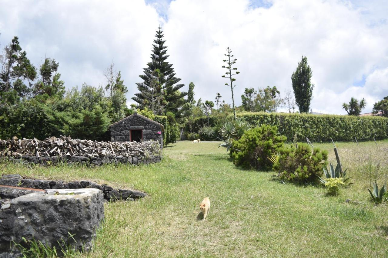 Quinta Da Meia Eira Castelo Branco  Екстериор снимка