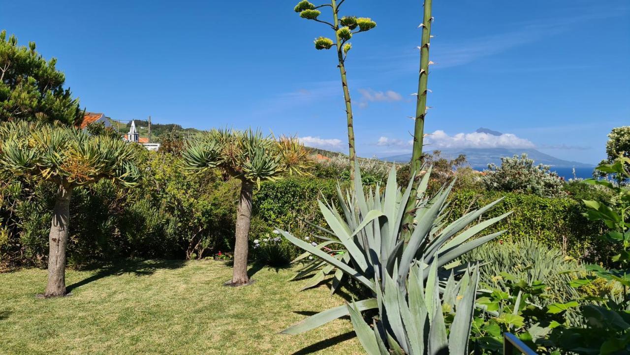 Quinta Da Meia Eira Castelo Branco  Екстериор снимка