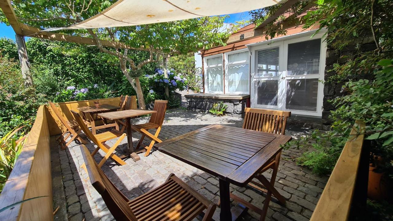 Quinta Da Meia Eira Castelo Branco  Екстериор снимка